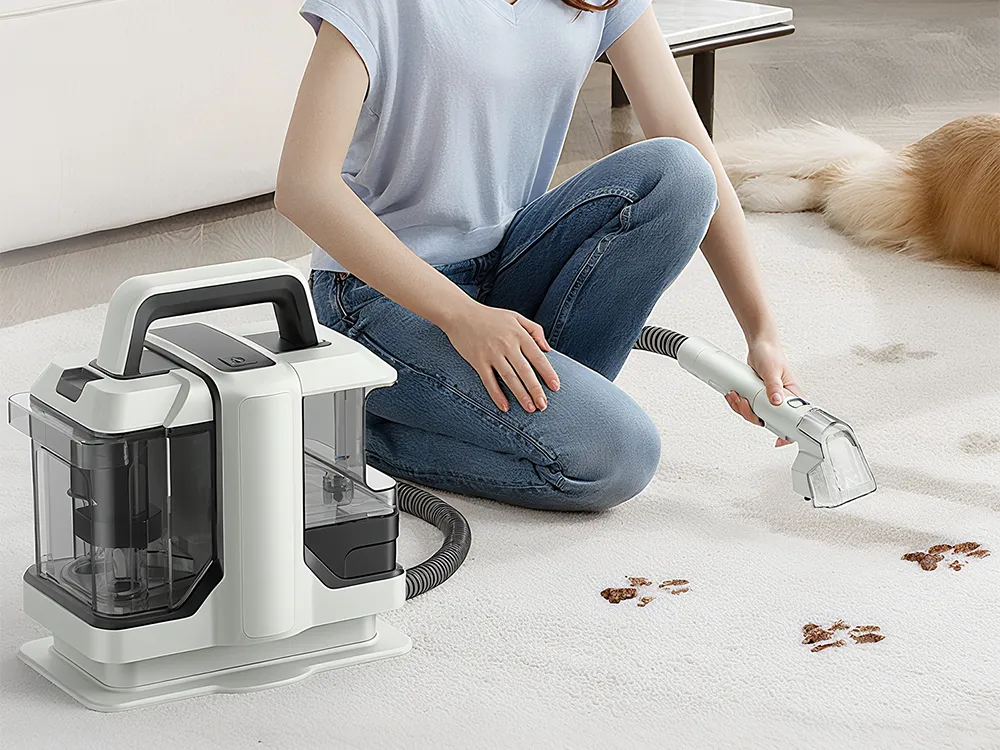 commoda Carpet Cleaners